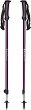   Black Diamond Trail Explorer 2 - 
