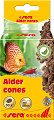    sera Alder Cones - 