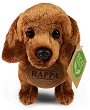    - Rappa - 