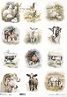   ITD Collection - 