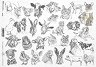   ITD Collection - 