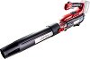 ������������ ������� Raider 20V RDP-BL20