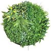     My Garden Beauty Secret Frame CCGA110V - ⌀ 80 cm - 