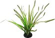 ���������� �������� �� �������� REPTI PLANET Spartina - 