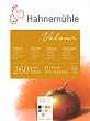       Hahnemuhle - 