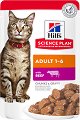 ���� �� ����� Hill's Adult - 