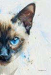 �������� � ������ ������ - 