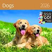   - Dogs 2026 - 