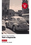America Latina: Mexico  B1: Taxi a Coyoacan - 