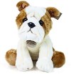 ��� ������� ���� ������ - Rappa - 