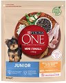 ���� ����� �� ������ Purina ONE Junior - 800 g, � ������� � ����, �� ������� Purina ONE MINI, �� ������ � ����� ������, �� 1 �� 12 ������ - �����