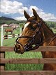    Royal & Langnickel - 