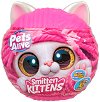    Smitten Kittens - Zuru - 