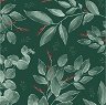    Ambiente -   
