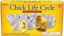     Learning Resources - 