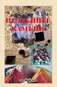 Целебните камъни - Пламен Драгостинов, Росица Тодорова - книга