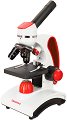  Discovery Pico - 
