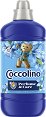    Coccolino Perfume & Care - 1.275  1.6 l,       - 