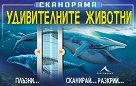 Сканорама: Удивителните животни - Анна Клейборн - детска книга