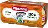      Plasmon - 