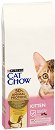 Суха храна за котки Cat Chow Kitten - 15 kg, с пилешко, за подрастващи - храна