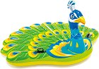  Intex -  -   - 