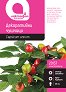 Семена от декоративни Чушчици -