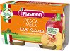      Plasmon - 
