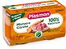      Plasmon - 