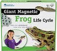     Learning Resources - 