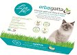 Трева за котки Leopet - 100 g - храна