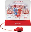     Learning Resources