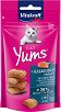 Лакомства за котки Vitakraft Cat Yums - 40 g, със сьомга и Омега 3 - храна