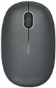    Rapoo M660