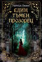 Един тъмен прозорец - Рейчъл Гилиг - книга