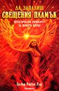 Да запалиш свещения пламък : Уика за новото време - Силвър Рейвън Улф - книга