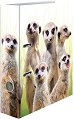 Класьор с 2 ринга HERMA - Сурикати - За формат A4 и с широчина на гърба 7 cm от серията Animals -