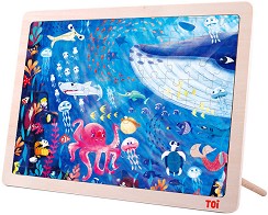 Toi World TP021