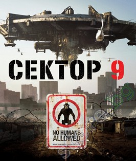  9 - 