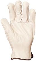      Eurotechnique -  10 (25 cm) - 
