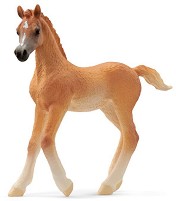 Фигурка на арабско жребче - Schleich - От серията Horse Club — 13984