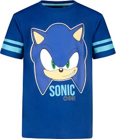   - 100% ,   Sonic - 