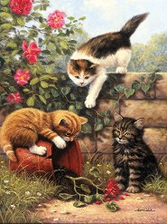 Нарисувай сам картина - Играещи котенца - Творчески комплект — Royal & Langnickel PJS52