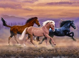 Нарисувай картина Royal & Langnickel - Препускащи коне - Творчески комплект — PJL32