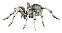 Фигурка на паяк Тарантула Papo - От серията [[conn:5842|Диви животни||] — 50190