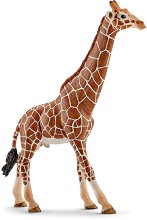 Фигурка на мъжки мрежест жираф - Schleich - От серията Wild Life — 14749