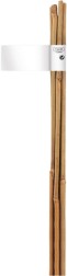     Nortene Bamboo - 6    60 cm - 