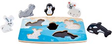 HaPe E1620