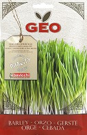        Bavicchi - 80 g   Geo - 