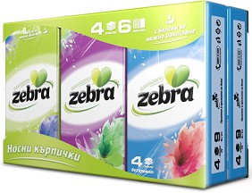     Zebra - 6  x 9  - 